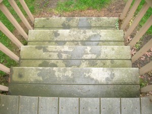 Composite decking Before (3)